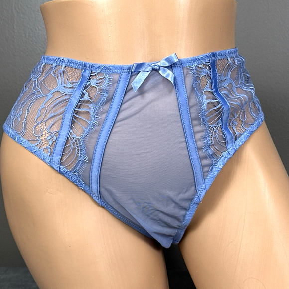 Playful Promises Fallon High Waist Lace & Mesh Briefs Panty US Size 8 UK 12 Blue - Picture 1 of 9